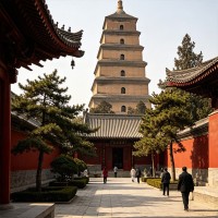 大慈恩寺景区门票+深度人工精讲