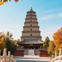 大慈恩寺+大雁塔+双景区深度人工精讲